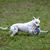 Bekki Davidson's profile image