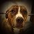 Cyndee Myers Tamburino's profile image