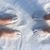Sandy Nelson's profile image