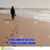 Mary Kish's profile image