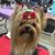 Carol Bourget Leslie's profile image