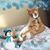 Carol Pennington-Gentle's profile image