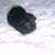 Sandra Hawkins's profile image