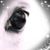 Jackie Kelly's profile image