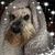 Patsy Otander's profile image