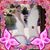 Marisela Enriquez's profile image