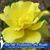 Sandra Thompson's profile image
