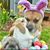 Tina Basile's profile image
