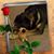Tina Wilbanks Bundy's profile image