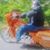 Don Shadley's profile image