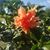 Jody Monticue Mcginity's profile image