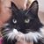 Angie Gerber's profile image