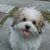 Wesley L Smith's profile image