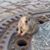 Allison Barone's profile image