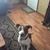 Larry Arbo's profile image