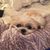 Kimberly York-Johnson's profile image
