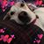 Lara R. Page's profile image