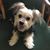 Nancy Nowack Stevens's profile image
