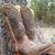 Sara Faye Crumrine's profile image