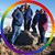 Michelle Fulsher Mitchell's profile image