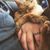 Kelli Wiley's profile image