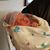 Carol Anne Gaultney Stone's profile image