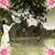 Sandy Sloan's profile image