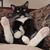 Ray Buchmann's profile image