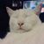 Sandra Jackman's profile image