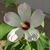 Carol Sessions's profile image