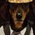 Floyd Red Roth's profile image