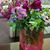 Deborah Taylor's profile image