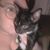 Annastasia Marie's profile image