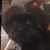 Gregory Ott's profile image