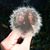 Zac Carey-Agho's profile image