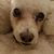 Helena Glynn's profile image