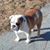 Sharon Pohl's profile image