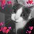 Lisa Barry Feuquay's profile image