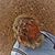 Fundy Stewart's profile image