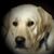Brenda Briney Medley's profile image