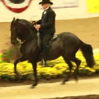 Debbie Timbs's profile image