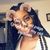 TashaoldPage Small's profile image