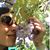 Amee Bee's profile image