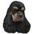 Maya Jordan's profile image