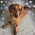 Linda Cox Matthews's profile image