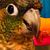 Cecile Huguette Hanna's profile image