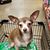 Judy Dula's profile image