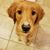 Lori Carignan's profile image