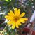 Julie Portillo's profile image