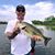 Kenny Bradshaw's profile image